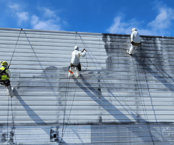 Diseño sin título (11)