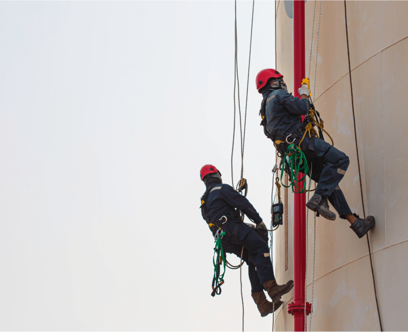 Diseño sin título (12)